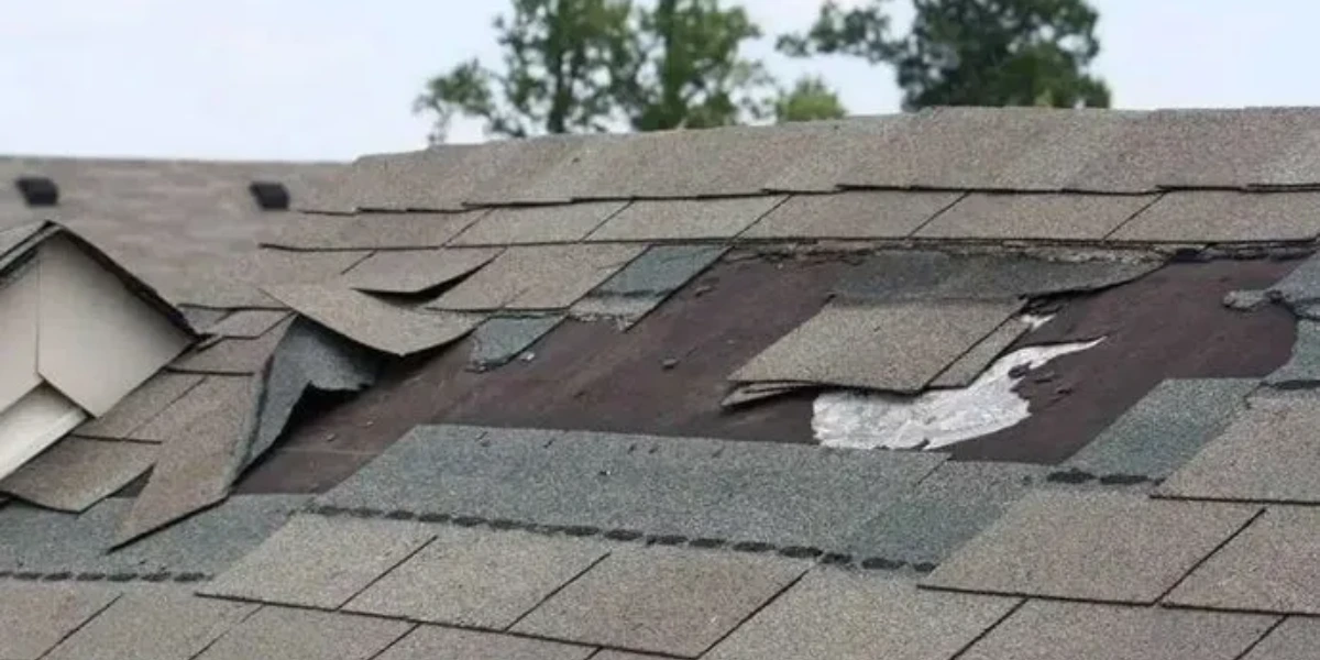 Asphalt shingles blown off a residential roof exposing the underlayment after a severe wind storm